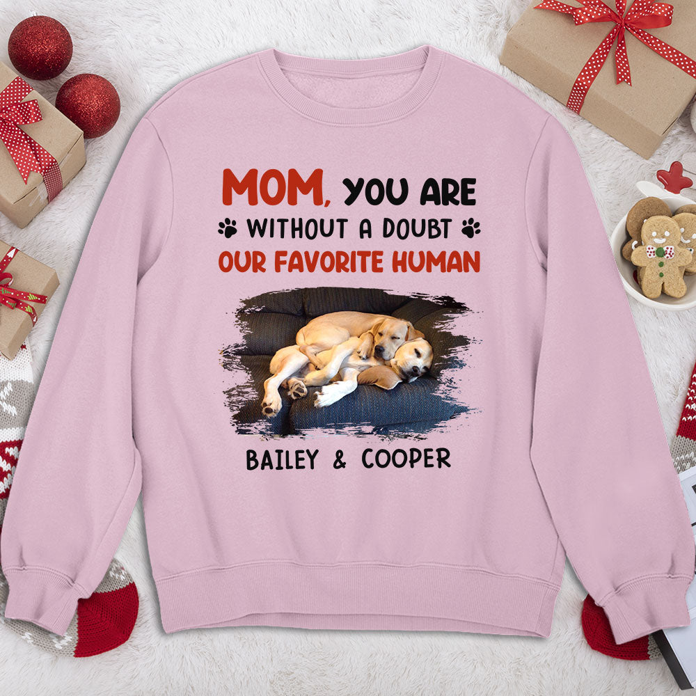 Favorite Hooman No Doubt - Customizable Personalized Sweatshirt for Pet Lovers