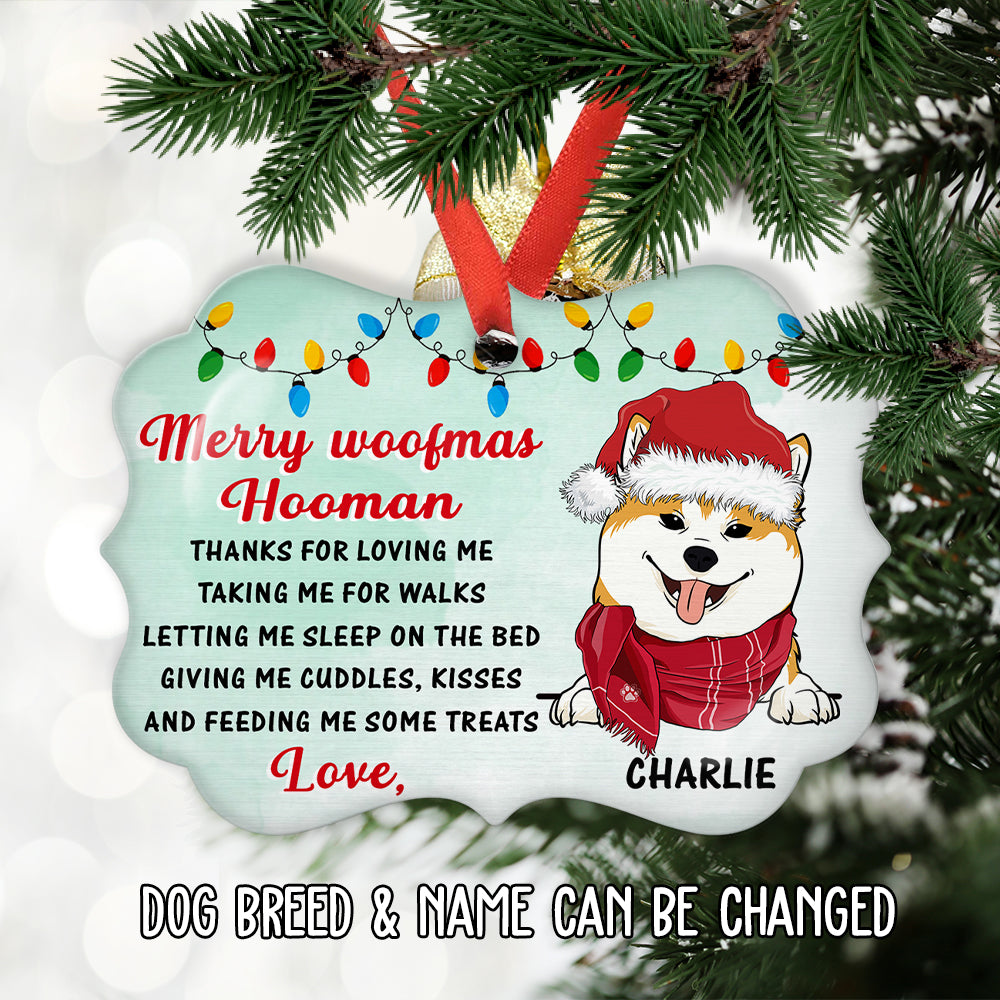 Thank You Hooman - Customizable Personalized Aluminum Pet Ornament for Holiday Trees