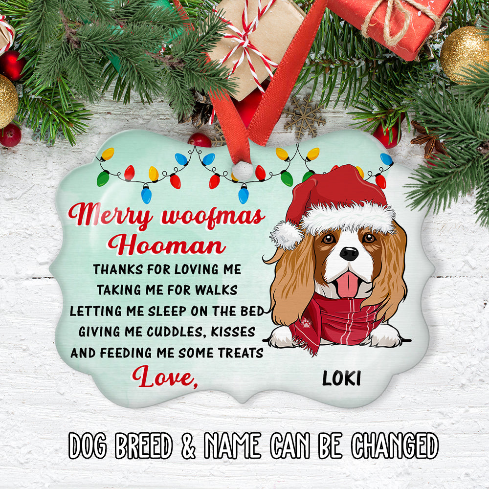 Thank You Hooman - Customizable Personalized Aluminum Pet Ornament for Holiday Trees