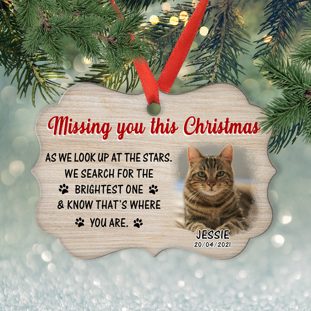Personalized Christmas Aluminum Ornament: Missing You with Your Furry Friends