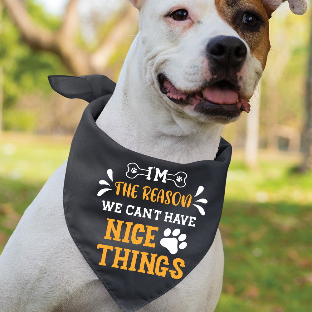 I'm The Reason - Stylish Dog Bandana for Your Furry Pal