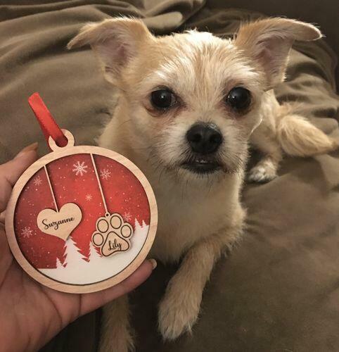 Personalized 2 - Layered Custom Wood Family Christmas Ornament for Pet Lovers