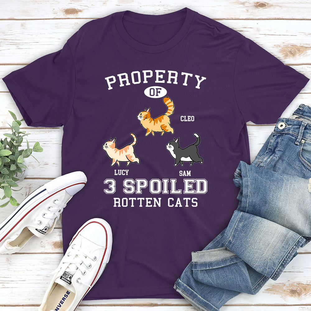 Rotten Cats Personalized Unisex Custom T - shirt: Ideal Gift for Pet Lovers