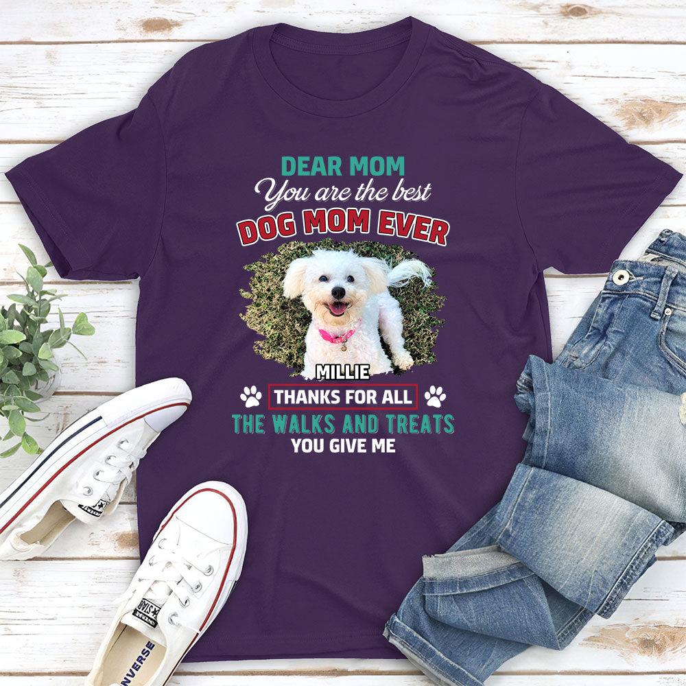 Personalized Custom Premium T-shirt for Pet Lovers' Walks