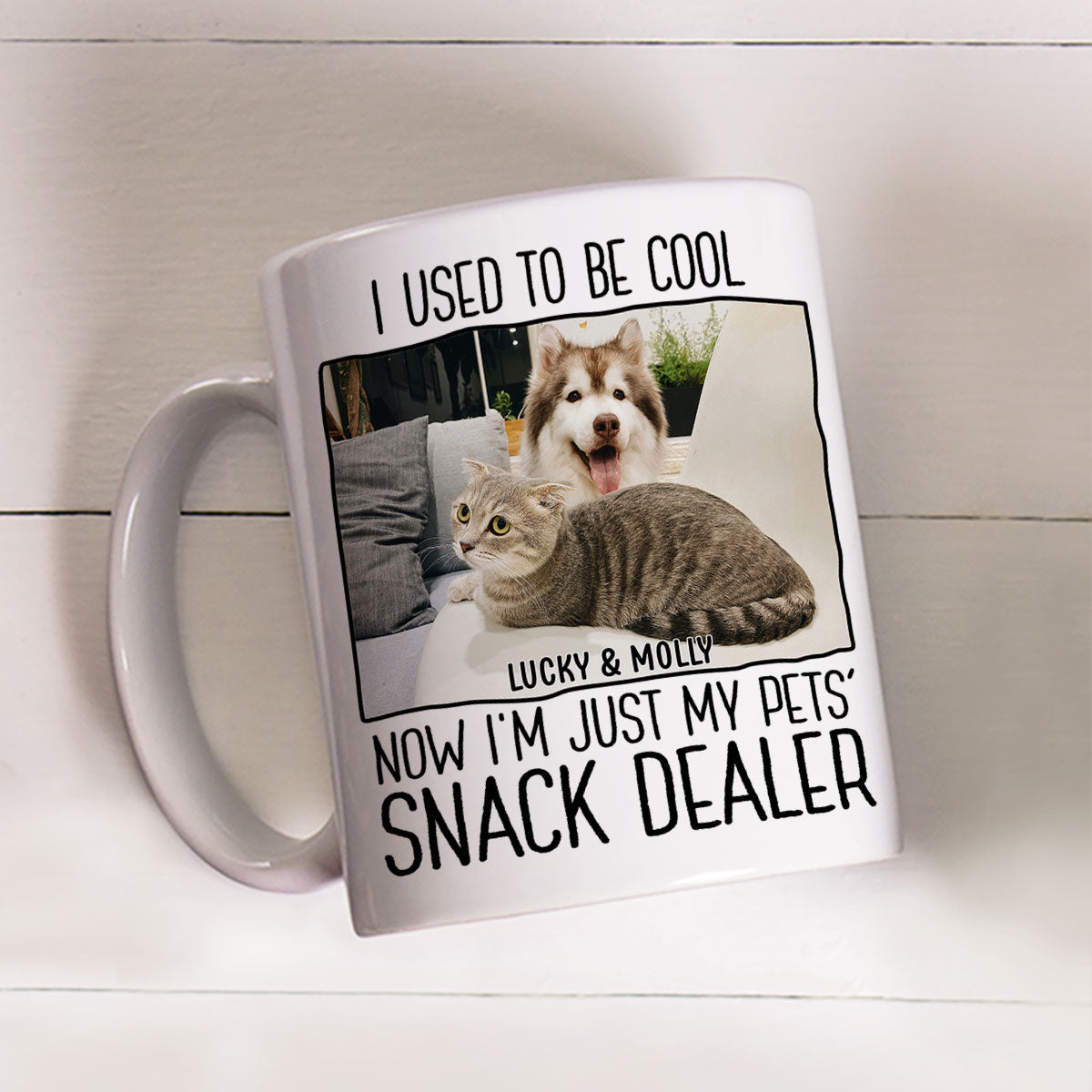 Personalized Custom Coffee Mug with Pet Snack Dealer Photo - Ideal Gift for Pet Lovers