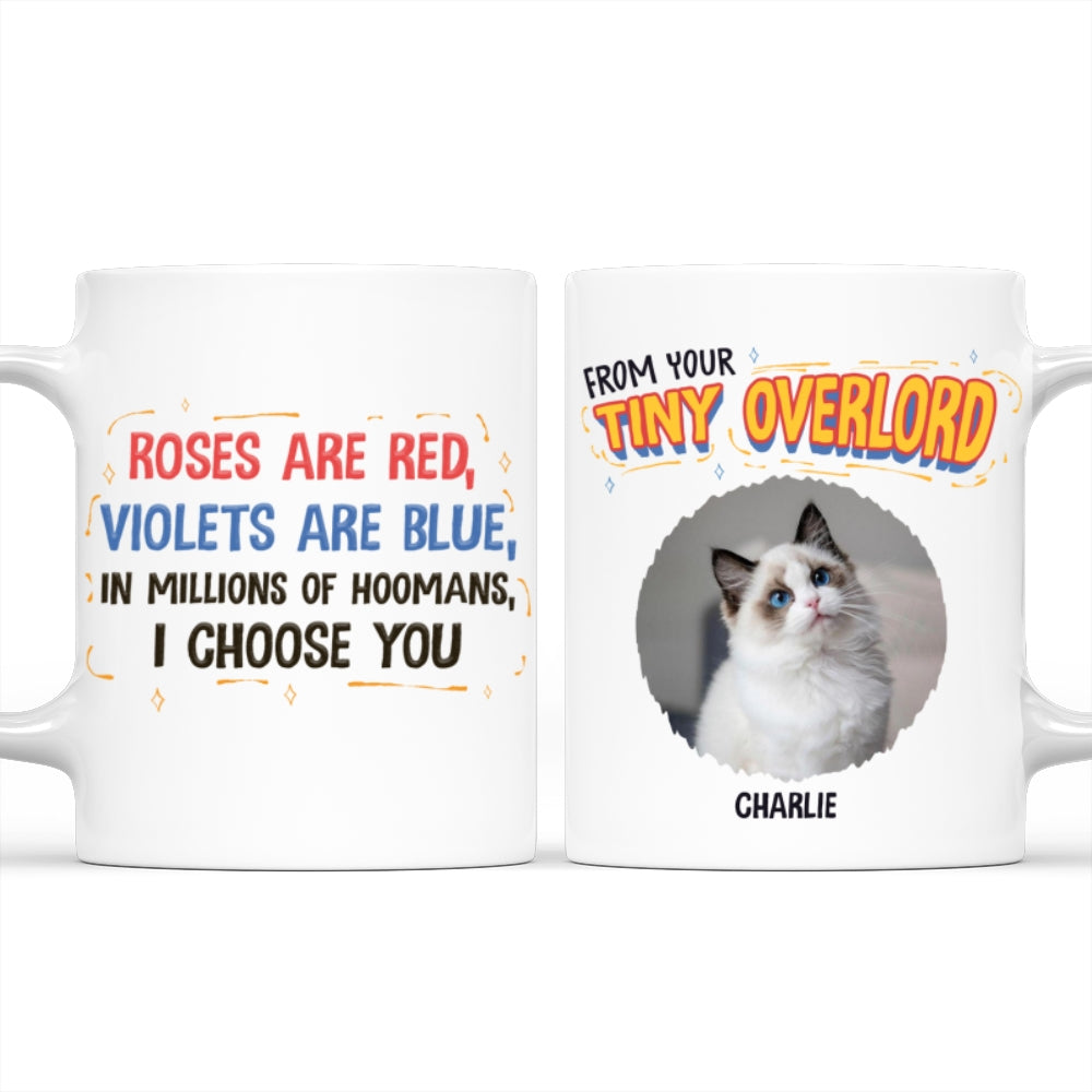 Personalized Custom Coffee Mug with In - Millions - Of - Hoomans Photo