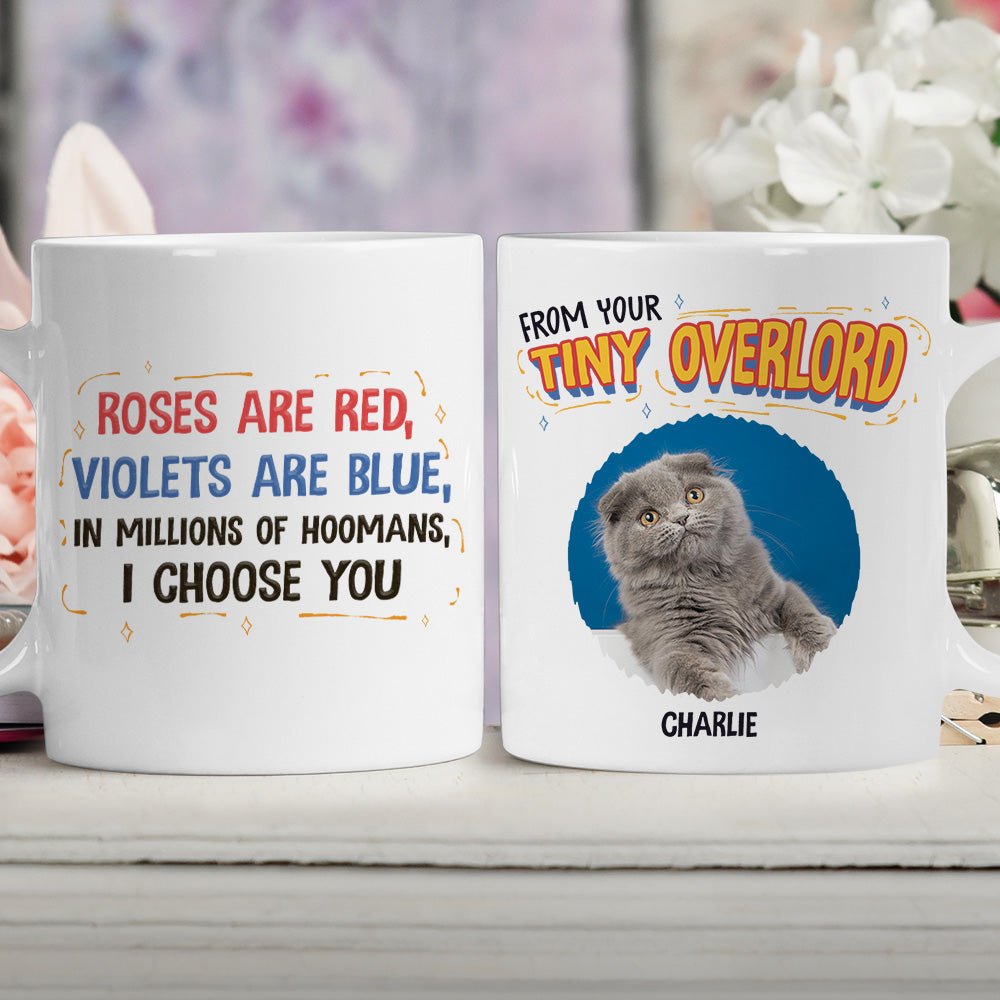 Personalized Custom Coffee Mug with In - Millions - Of - Hoomans Photo