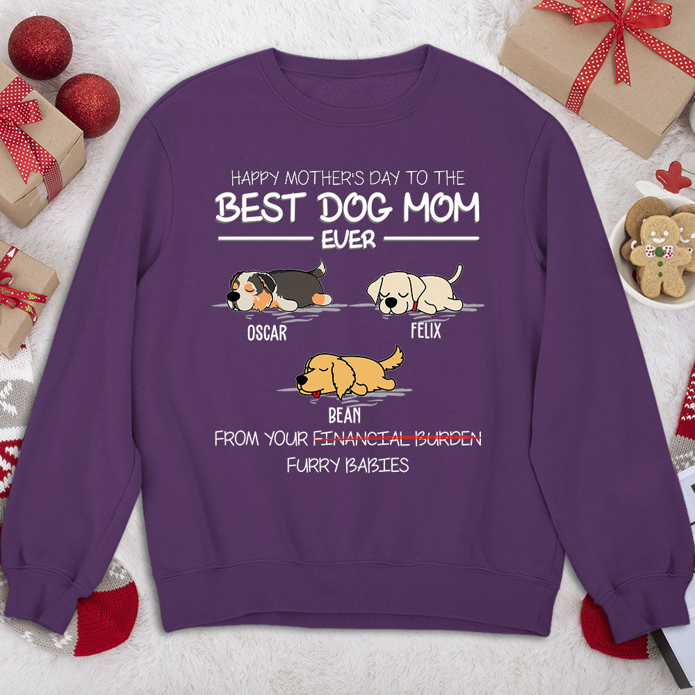 Personalized Custom Sweatshirt for Your Furry Companions