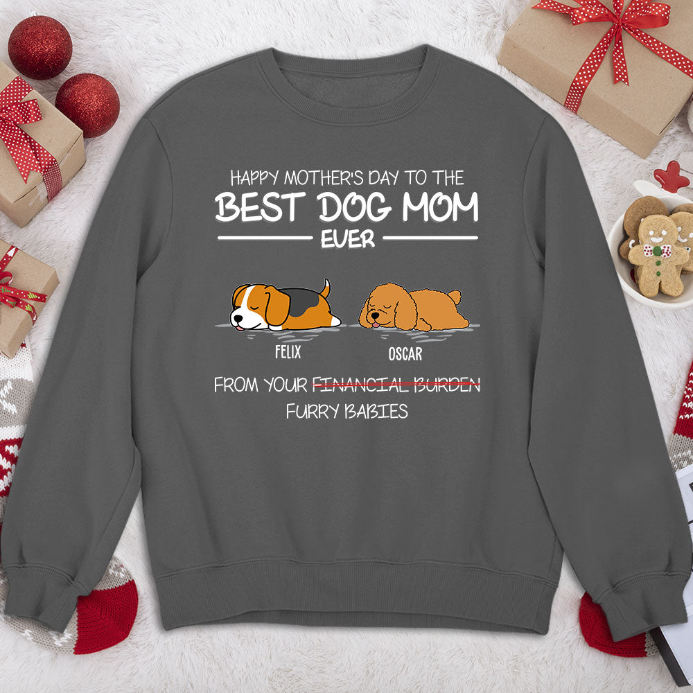 Personalized Custom Sweatshirt for Your Furry Companions