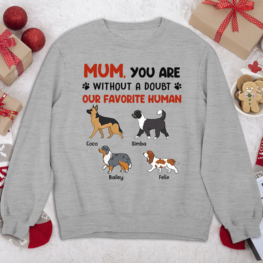 Favorite Hooman No Doubt - Customizable Personalized Sweatshirt for Pet Lovers