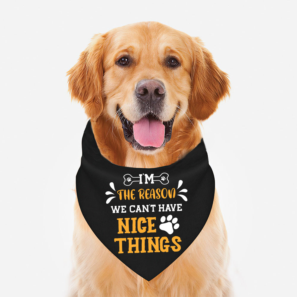 I'm The Reason - Stylish Dog Bandana for Your Furry Pal