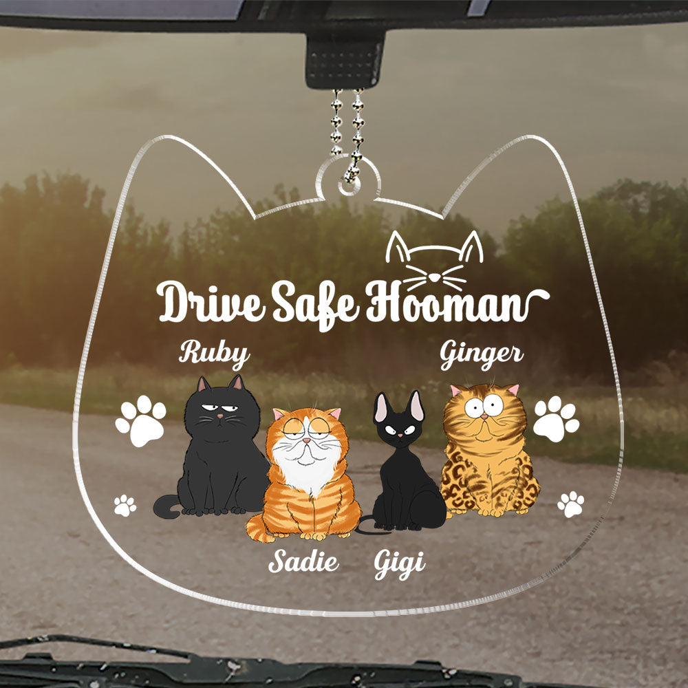 Drive Safe Hooman - Customizable Personalized Acrylic Ornament for Meaningful Gifting
