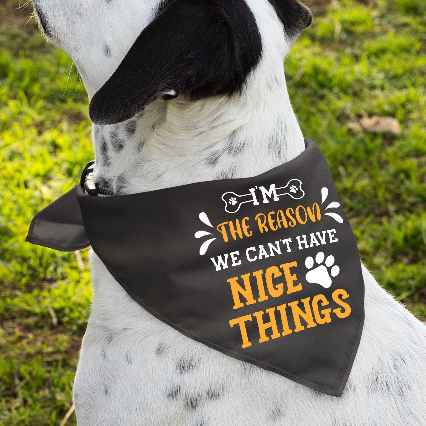 I'm The Reason - Stylish Dog Bandana for Your Furry Pal
