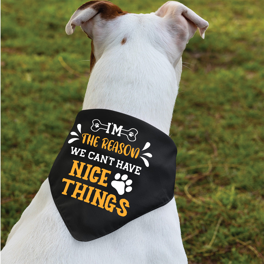 I'm The Reason - Stylish Dog Bandana for Your Furry Pal