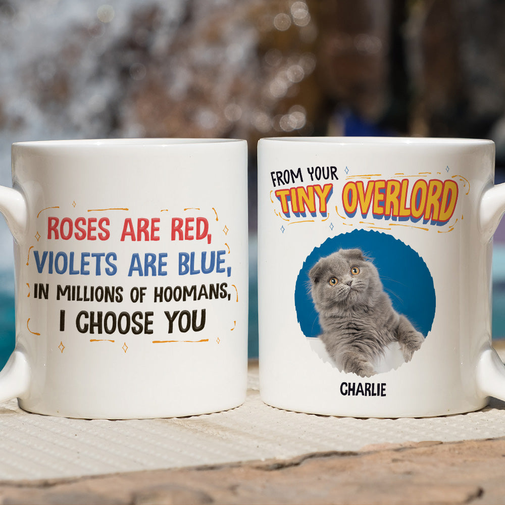 Personalized Custom Coffee Mug with In - Millions - Of - Hoomans Photo