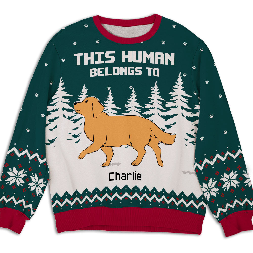 Human Belongs 2 - Customizable All-Over Printed Personalized Sweatshirt for Pet Lovers