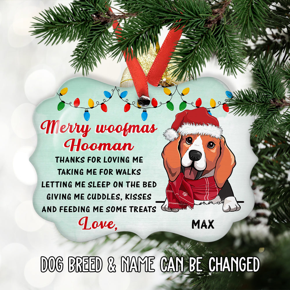 Thank You Hooman - Customizable Personalized Aluminum Pet Ornament for Holiday Trees