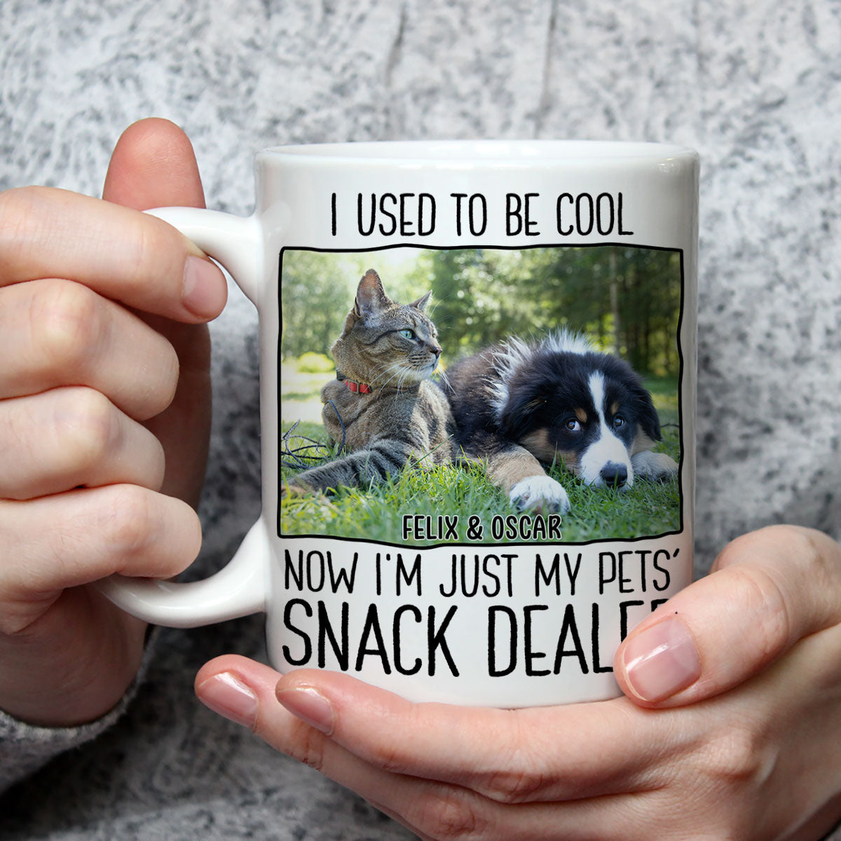Personalized Custom Coffee Mug with Pet Snack Dealer Photo - Ideal Gift for Pet Lovers