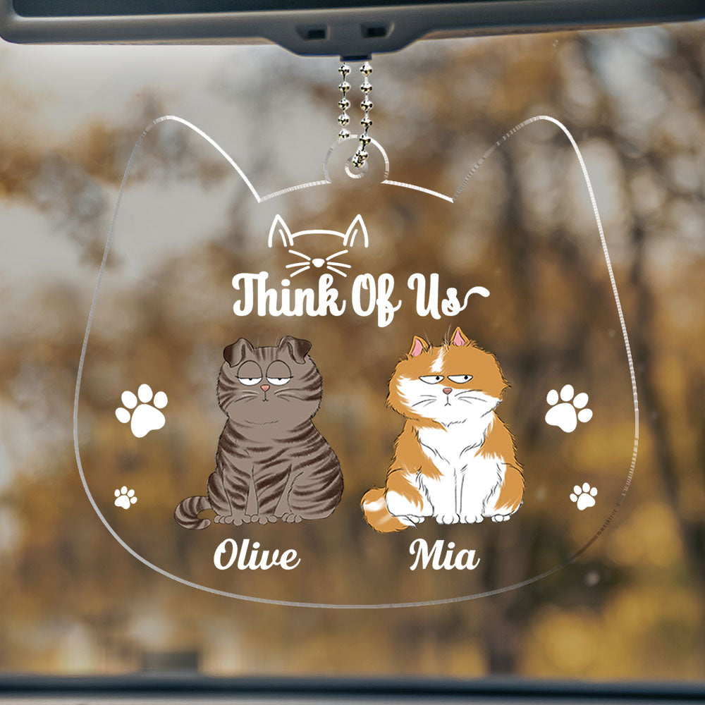 Drive Safe Hooman - Customizable Personalized Acrylic Ornament for Meaningful Gifting