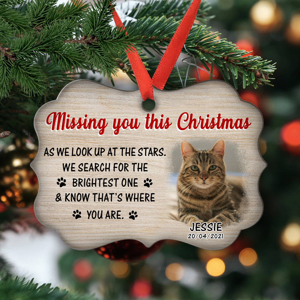 Personalized Christmas Aluminum Ornament: Missing You with Your Furry Friends