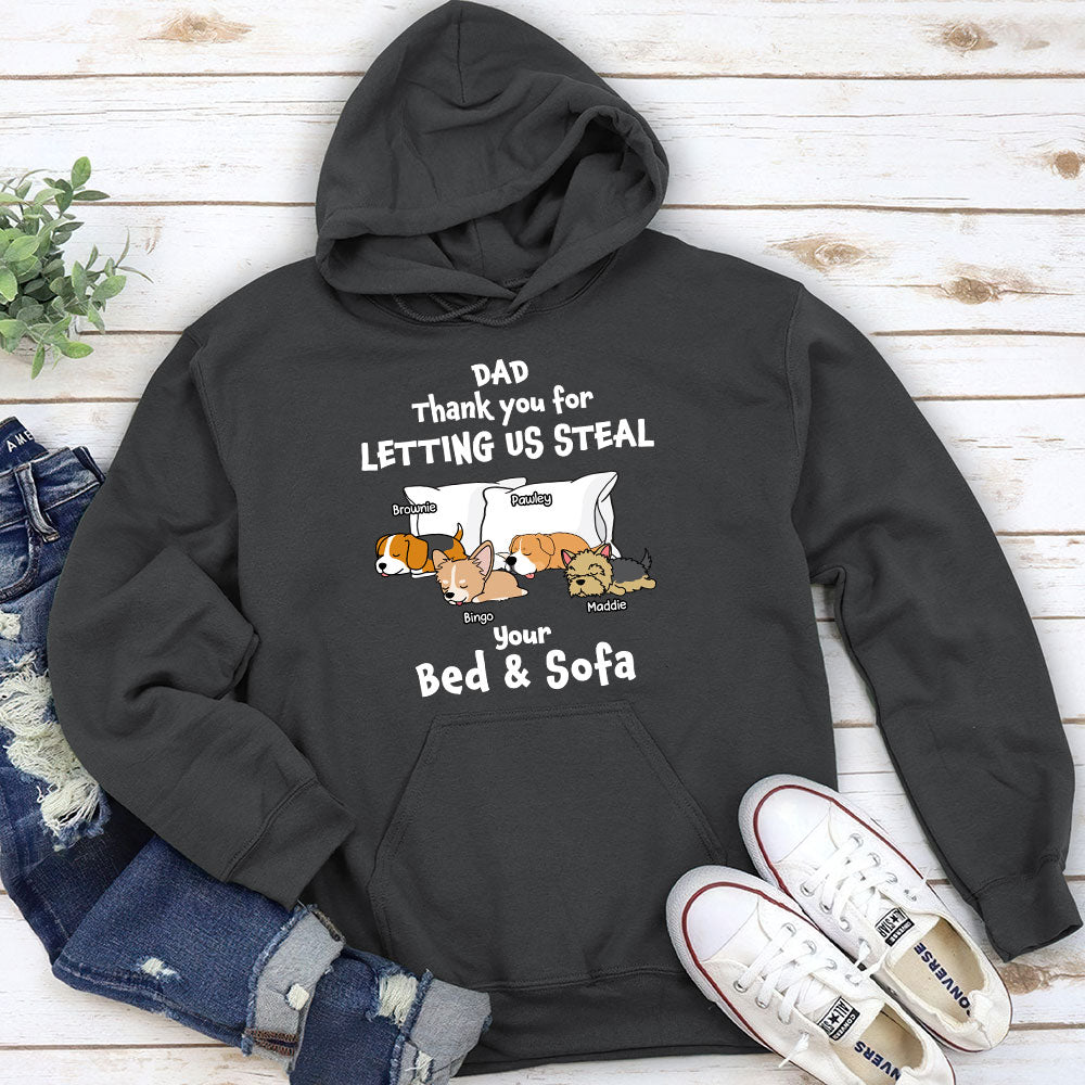 Let Me Steal - One-of-a-Kind Personalized Custom Hoodie for Pet Lovers