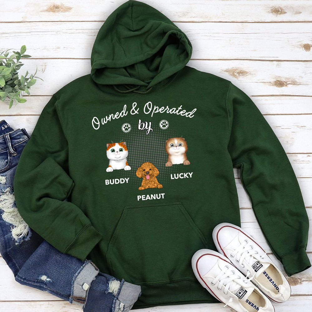 Personalized Pet - Inspired Custom Hoodie: Ideal Gift for Pet Lovers