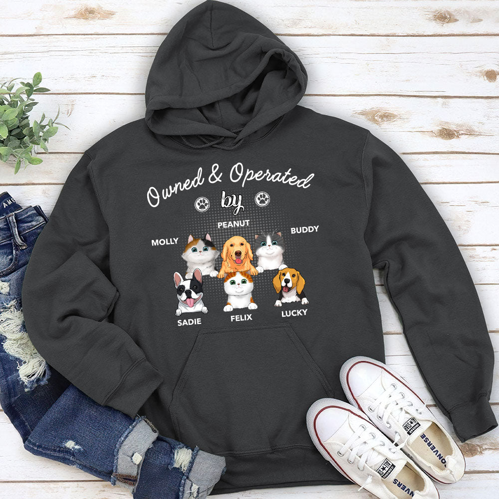 Personalized Pet - Inspired Custom Hoodie: Ideal Gift for Pet Lovers
