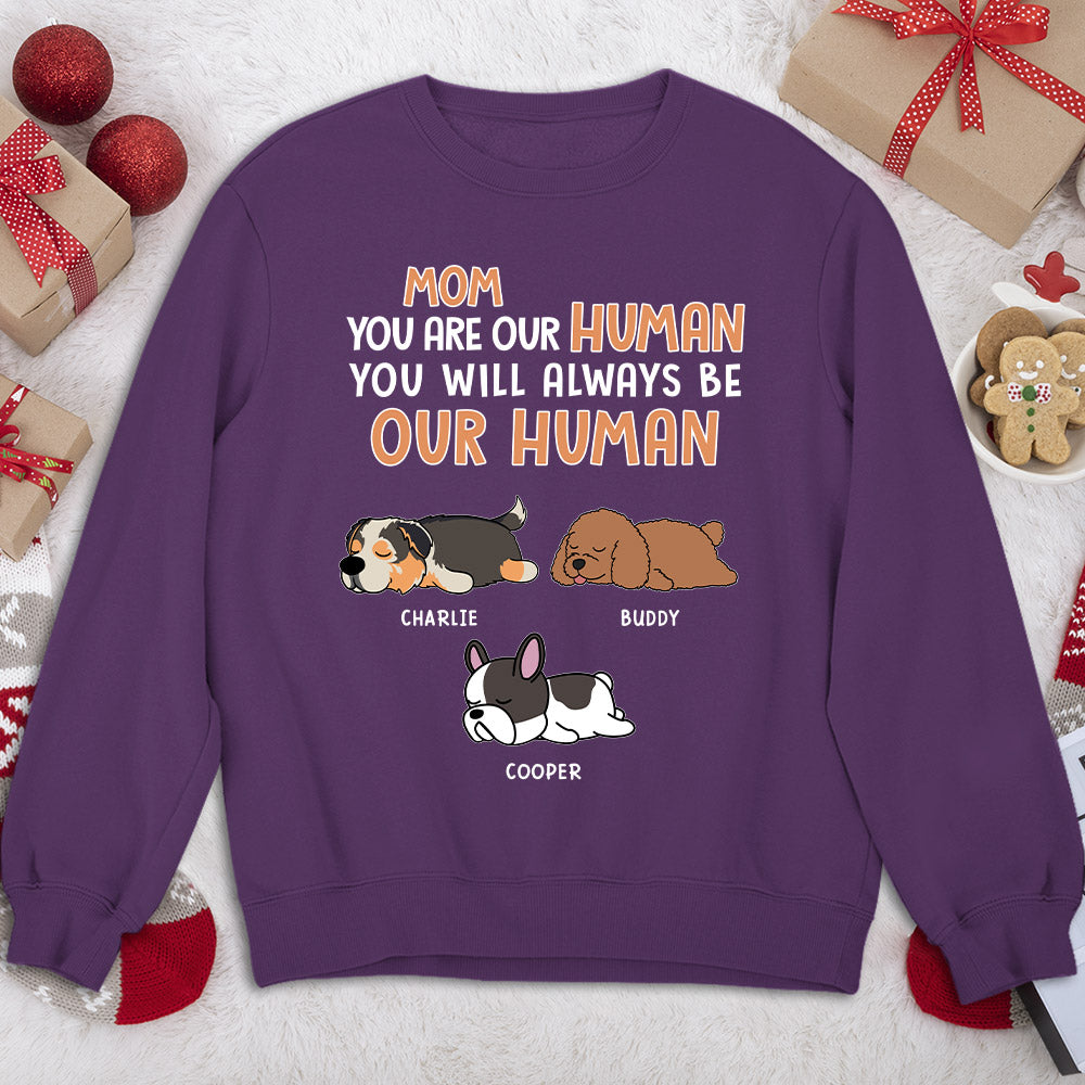 Be My Human - One-of-a-Kind Personalized Custom Sweatshirt for Pet Lovers