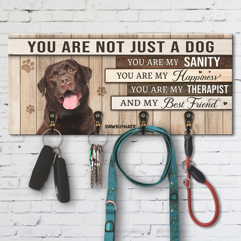 You Are Just Not A Dog - Unique Personalized Custom Wooden Key Holder for Pet Lovers