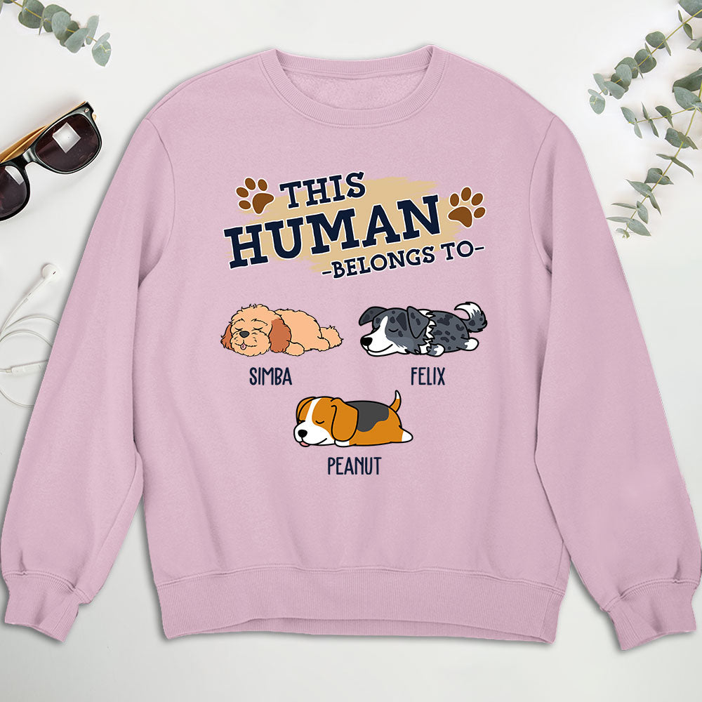 Personalized Human Version 2 Custom Sweatshirt - Ideal Gift for Pet Lovers