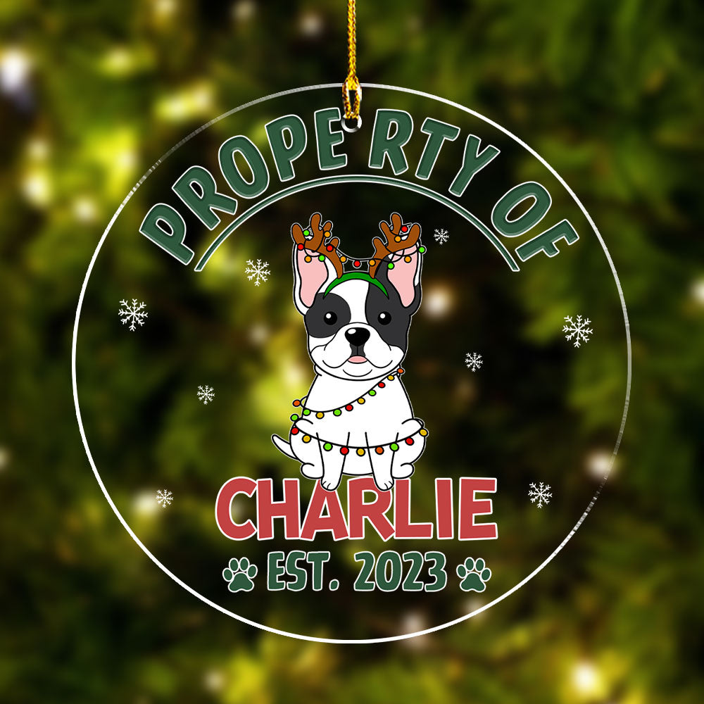 Simple Dog's Personalized Custom Acrylic Christmas Ornament