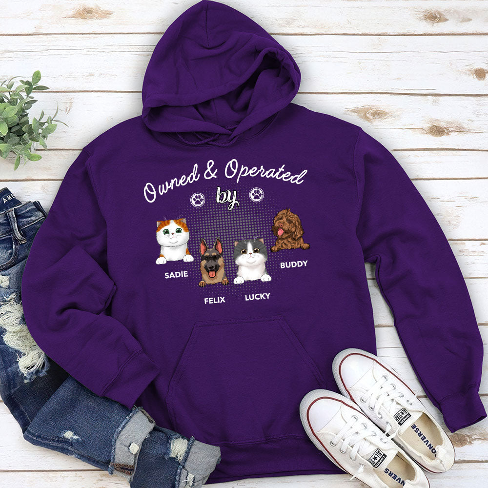 Personalized Pet - Inspired Custom Hoodie: Ideal Gift for Pet Lovers