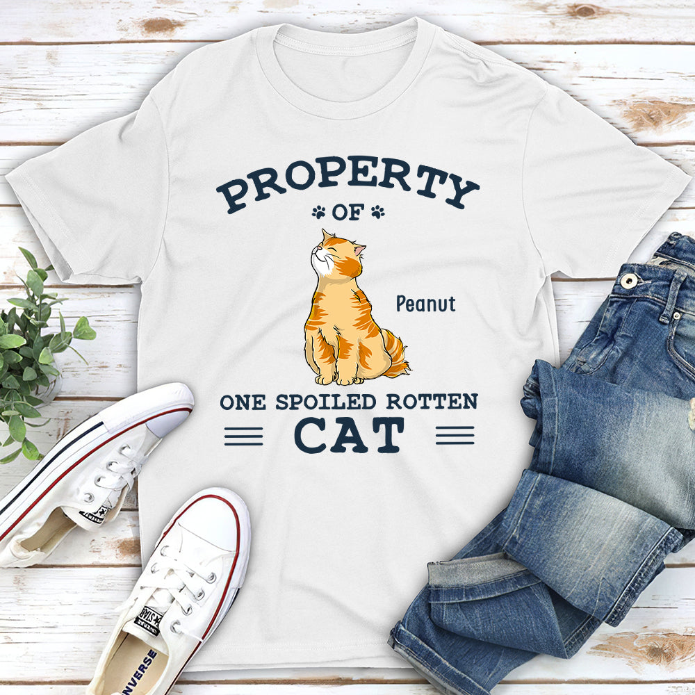 Cats' Property - Customizable Unisex Personalized T - shirt for Pet Lovers