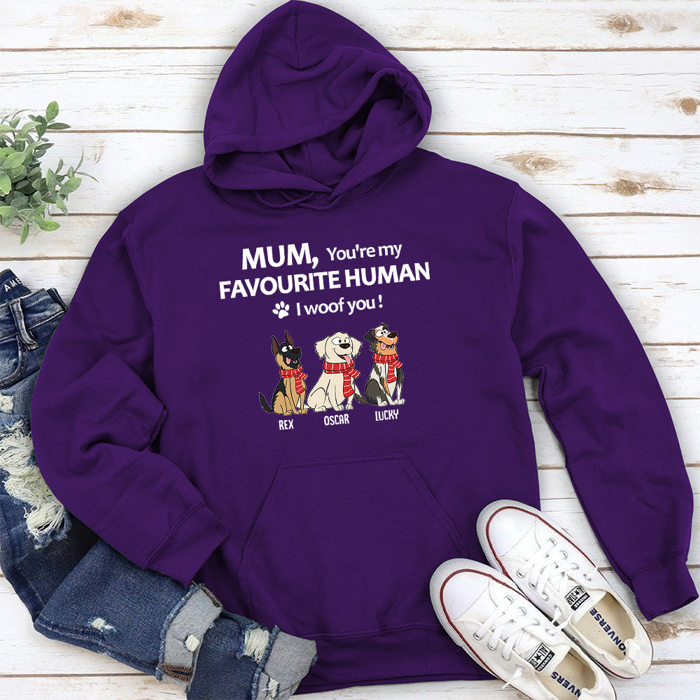 Personalized Custom 'To My Favourite Human' Hoodie - Ideal Gift for Pet Lovers