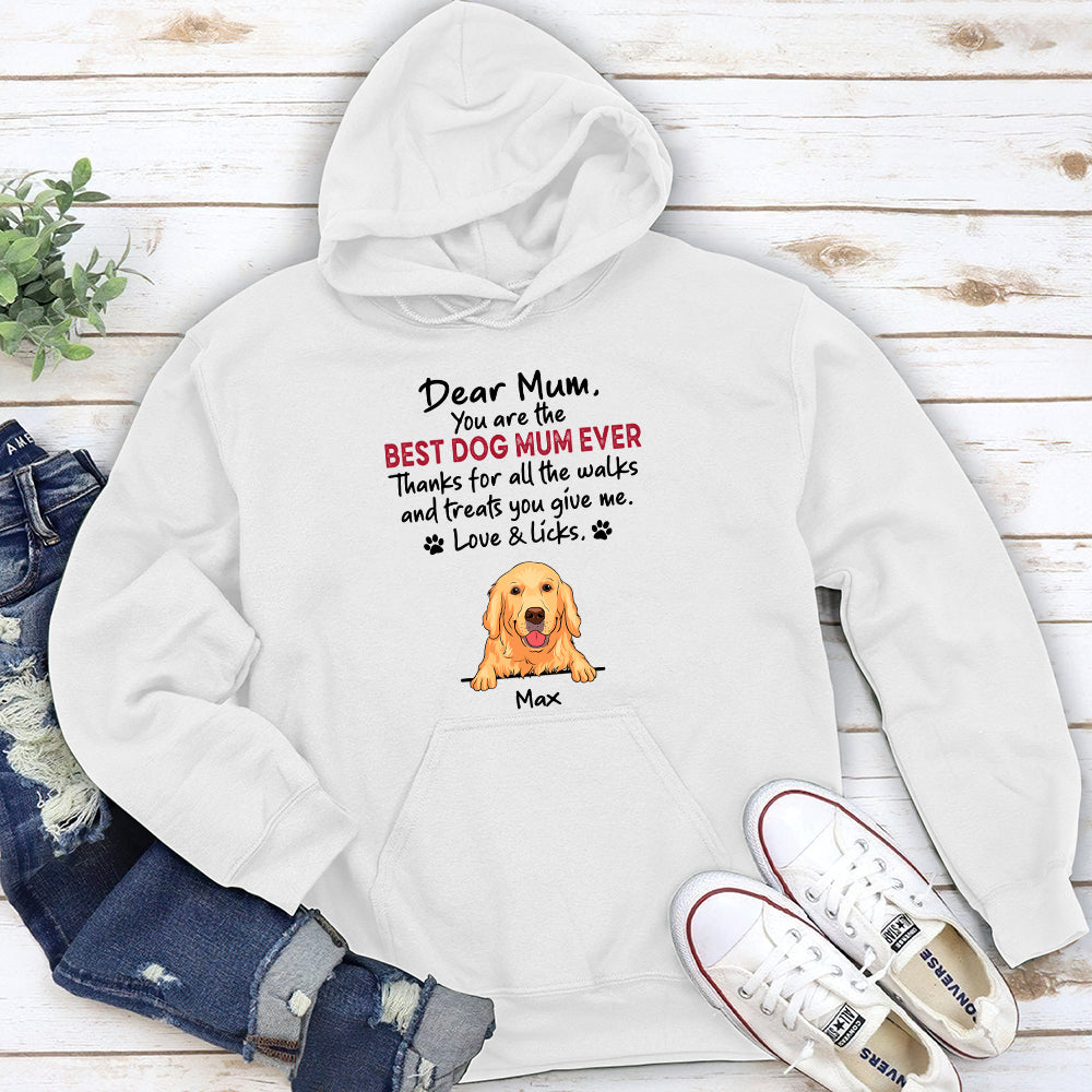 Walks And Treats - Customizable Personalized Pet Lover Hoodie