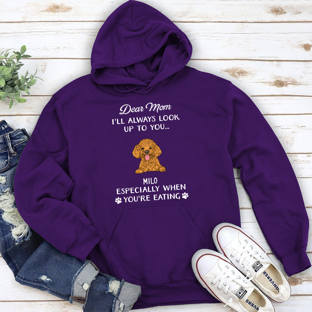 Personalized Pet Lover's Custom Hoodie - Always Look Up To You